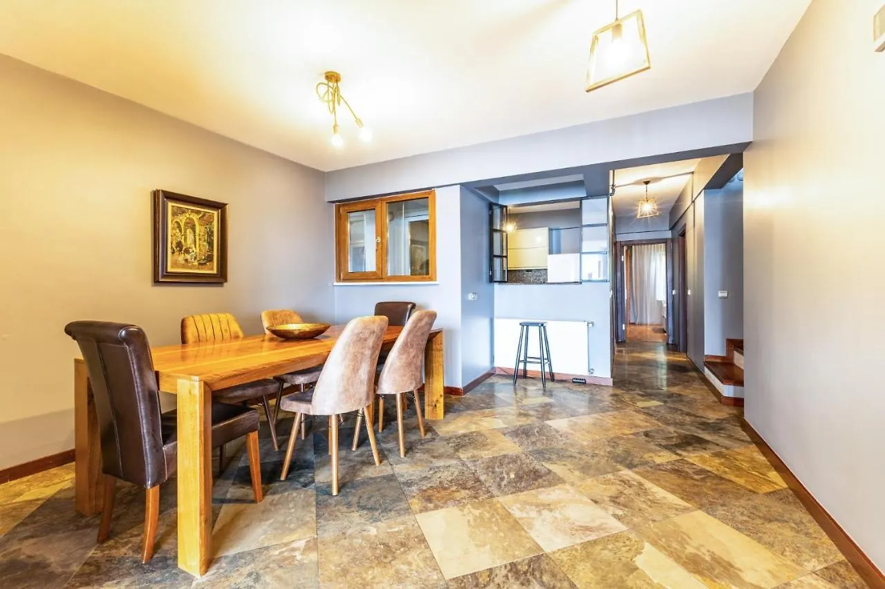 Duplex Flat W Panoramic Bosphorus View And Terrace Lejlighed Istanbul